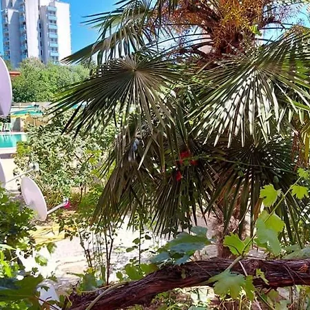 златна дюна-фешева Nessebar