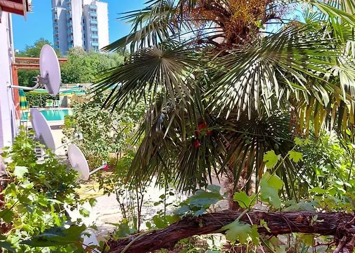 златна дюна-фешева Nesebăr